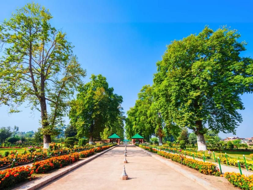 Tour Image