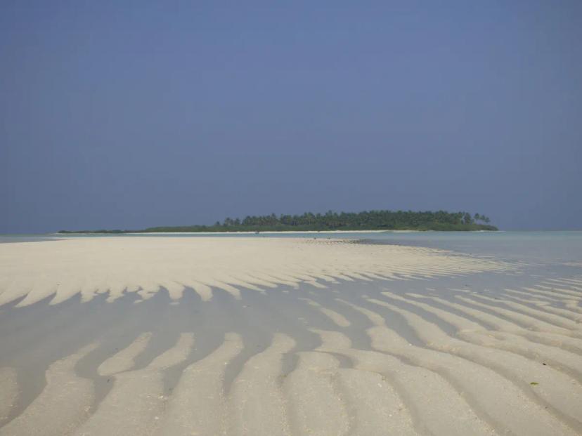 Tour Image